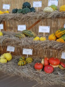 Apartament 2 camere 68mp