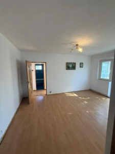 2 camere, Pacurari / Canta
